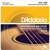 D`ADDARIO EJ19